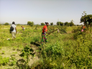 Agricoltura sostenibile Sud Sudan